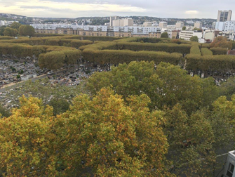 Read more about the article Classement patrimoine arboré du cimetière Pierre Grenier à Boulogne Billancourt