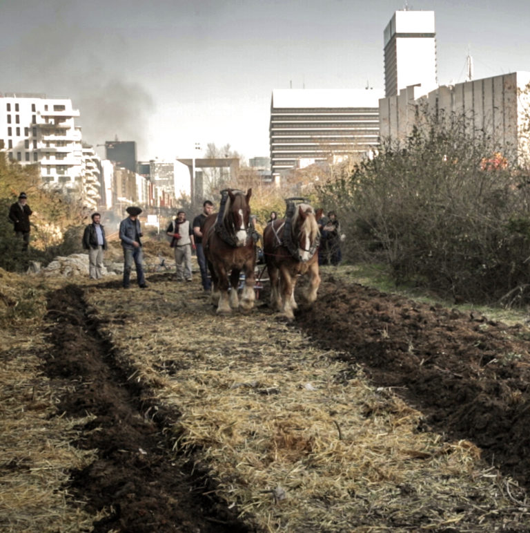 Read more about the article Pétition – Stop à la bétonnisation de Nanterre !