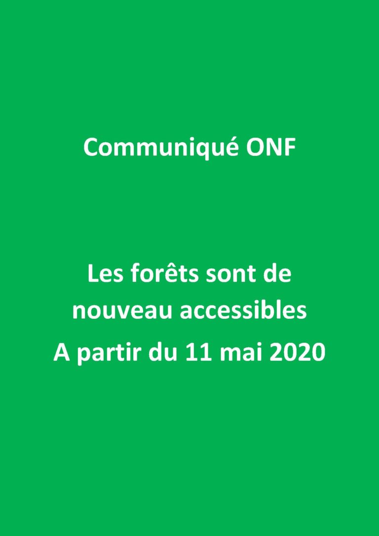 Read more about the article Réouverture des forêts