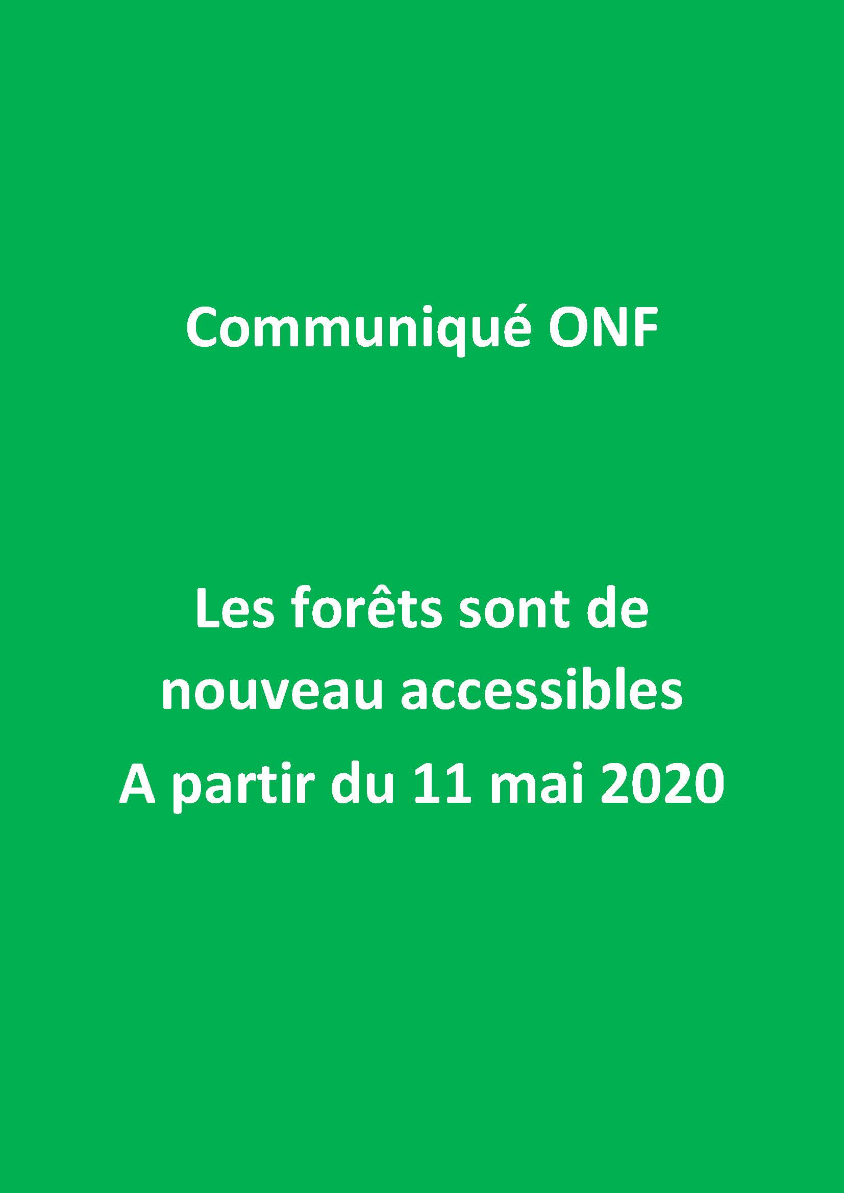 Read more about the article Réouverture des forêts