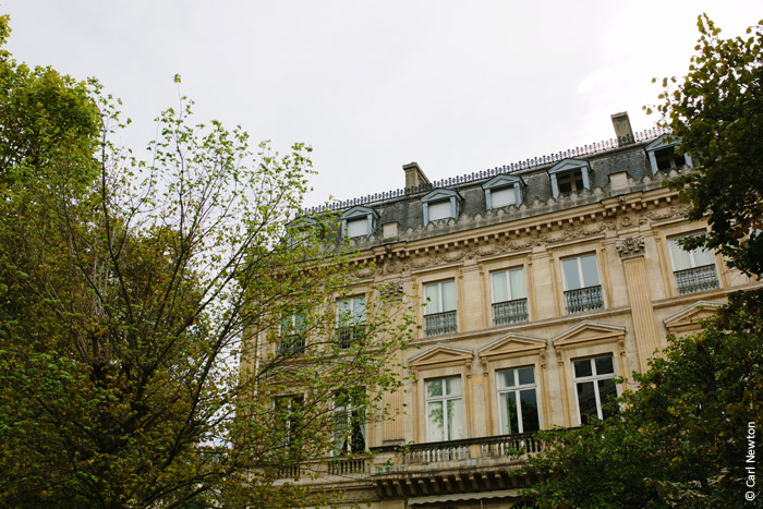 Read more about the article Déclaration des Droits de l’Arbre